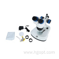 SWF10X Optical Stereo Binocular Microscope With LED Light